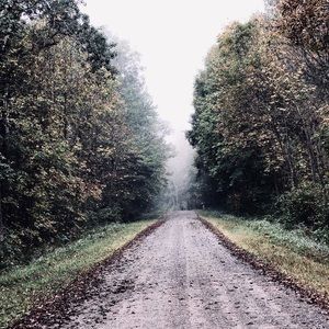 Meet your Posher, Myisha